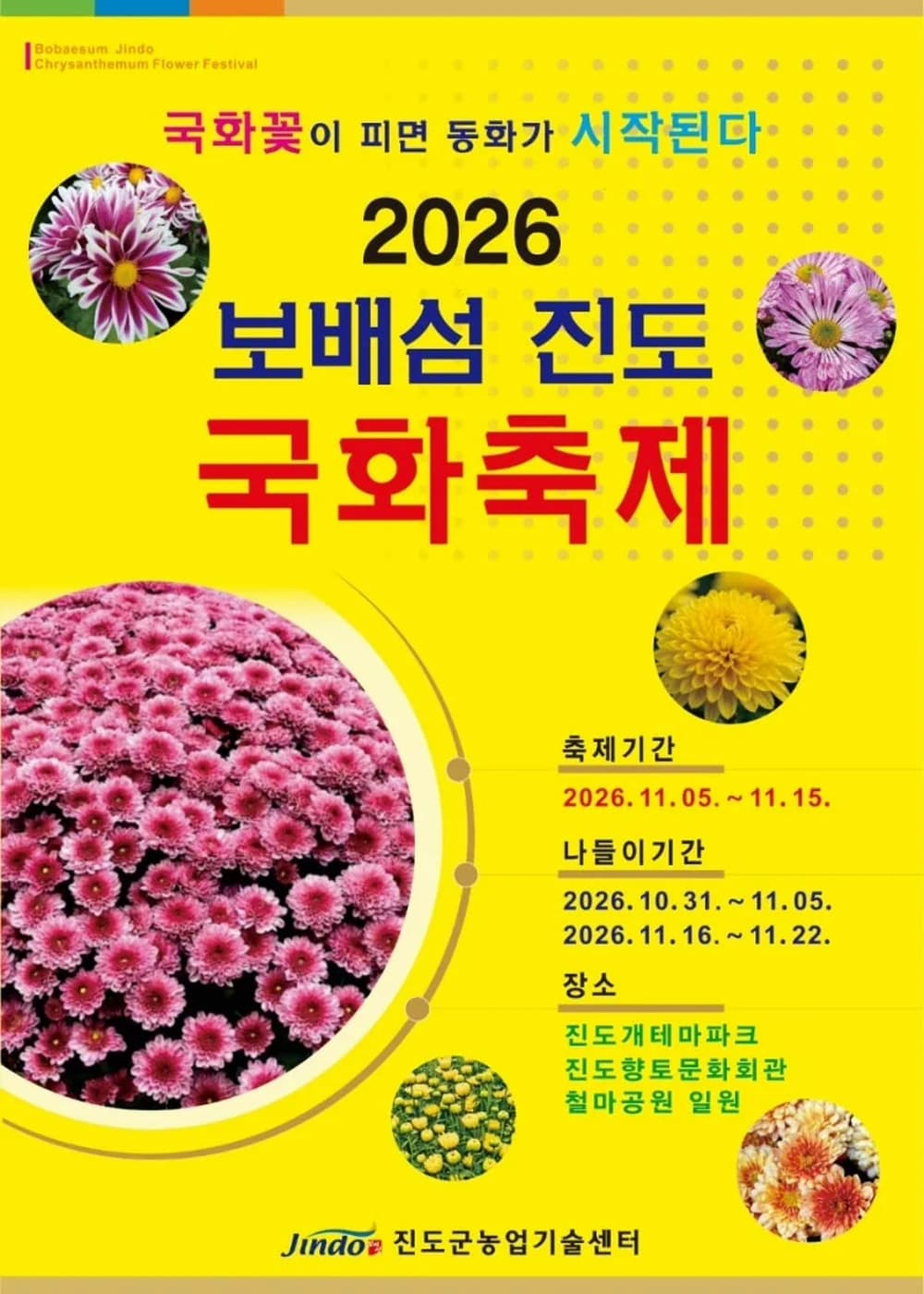 보배섬 진도 국화축제 포스터